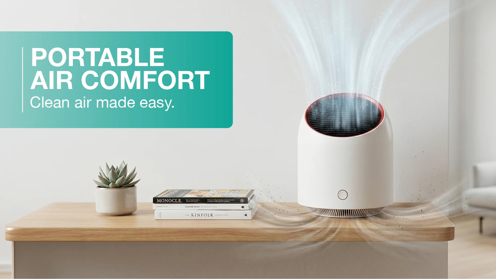 Perfect for Any Room: Compact and Powerful
