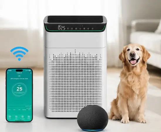 Smart WiFi & Alexa Control